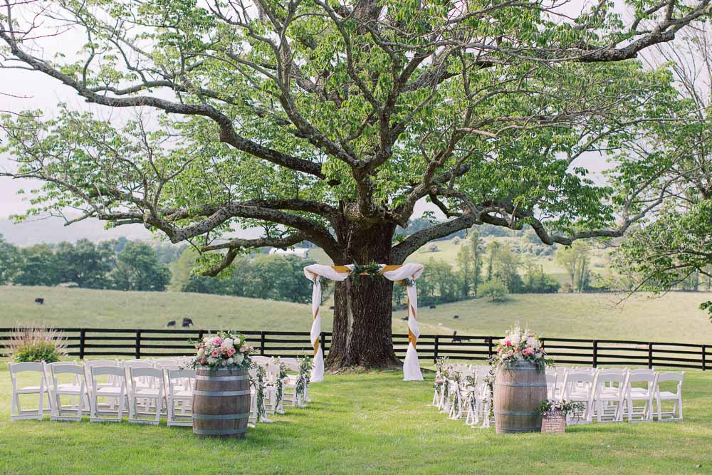 Spring Marriott Ranch wedding in Hume, Virginia